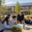 Kliamneutrale Schulen